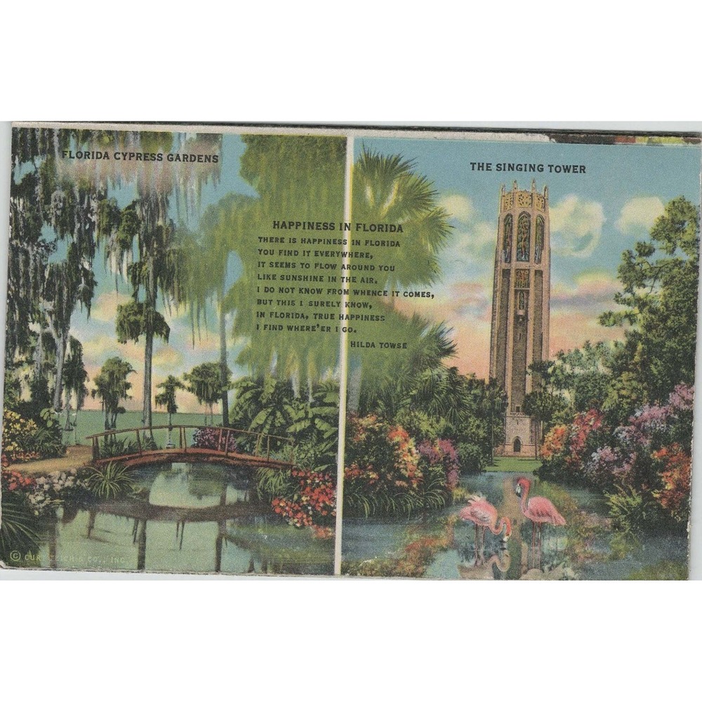Greetings From Florida's Indian River FL Large Letter Linen Postcard Curt Teich - Picture 2 of 2